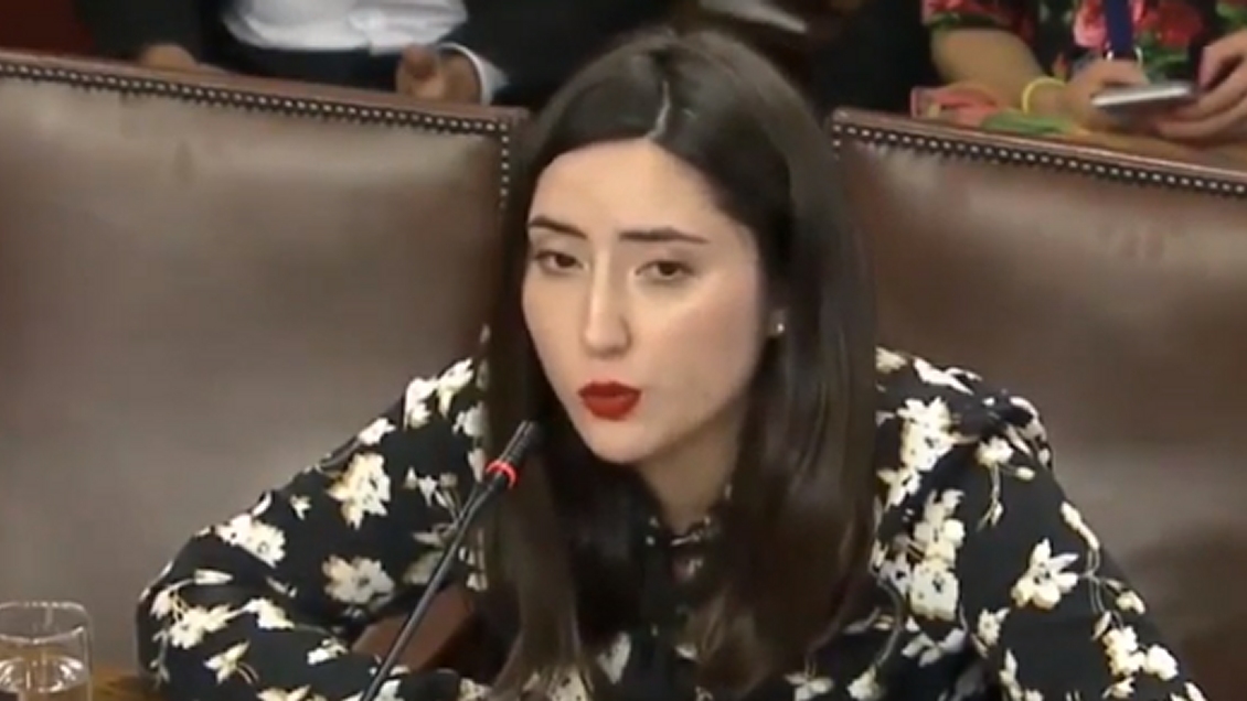 Superintendencia instruyó proceso administrativo en la Universidad de Chile por alumna agredida