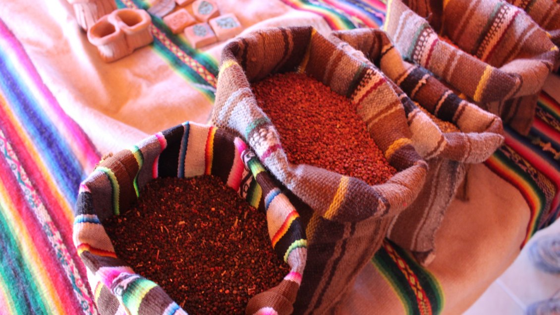 Tarapacá: FAO felicita a productores de quinoa orgánica de Colchane