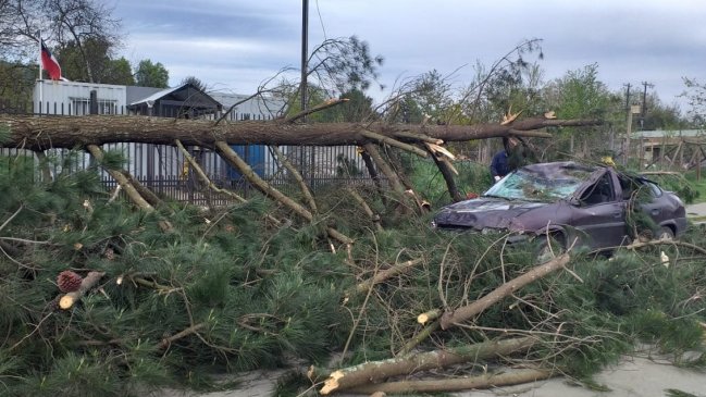 Viento puelche causó estragos en ocho comunas de La Araucanía