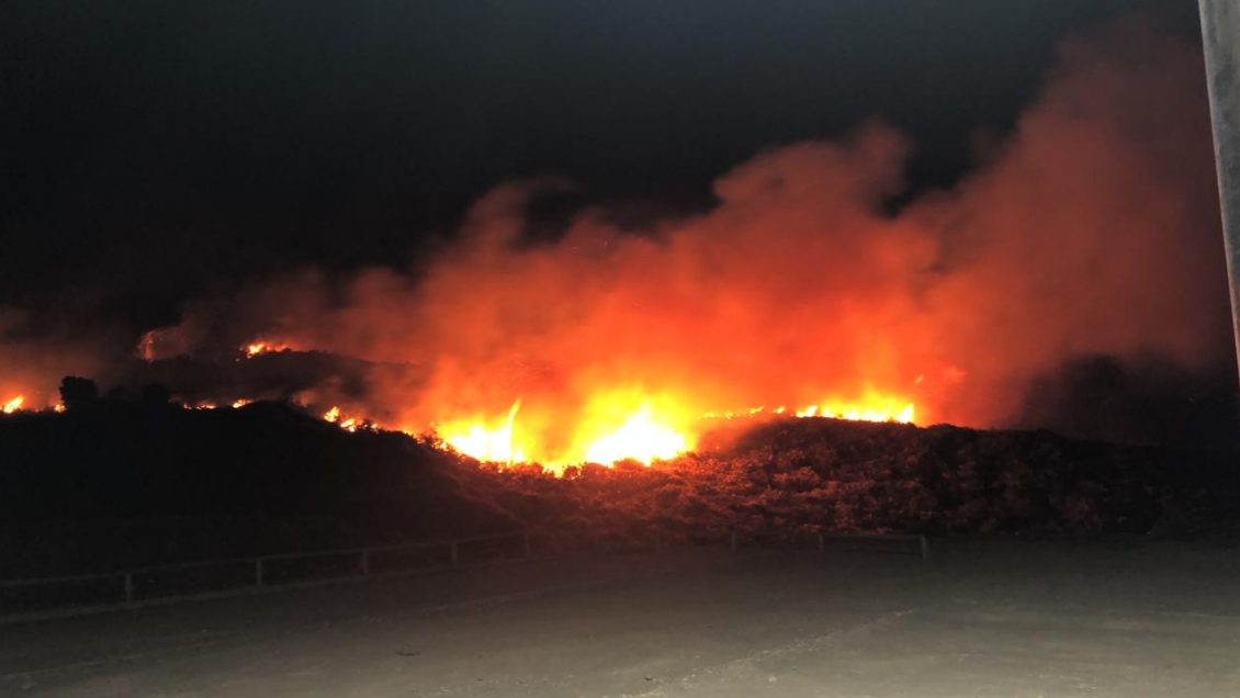 Bomberos y Conaf combaten incendio forestal en Puerto Montt