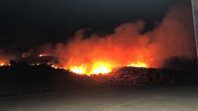 Bomberos y Conaf combaten incendio forestal en Puerto Montt