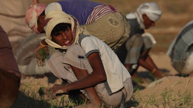 La FAO alerta del alto costo de las dietas de mala calidad en el mundo
