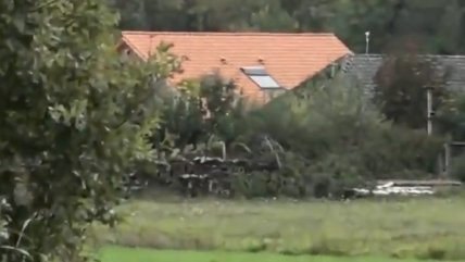  Los posteos en redes del joven que denunció que su familia vivió oculta nueve años  