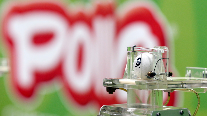 Estos son los ganadores del viernes de 