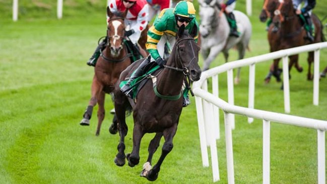 Denuncian maltrato y matanza de miles de caballos de carreras en Australia