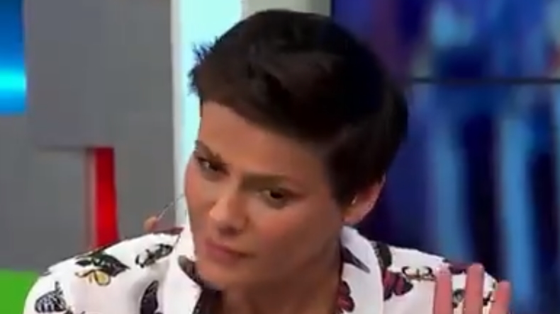 El tenso cara a cara de Tonka Tomicic y José Miguel Insulza por sus sueldos