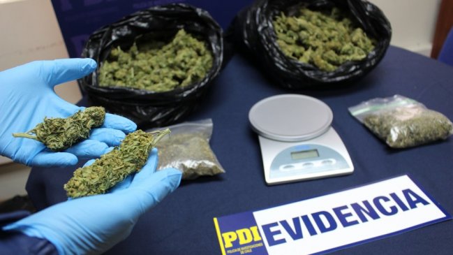 Operación Aromo: Decomisan más de dos kilos de marihuana en San Nicolás