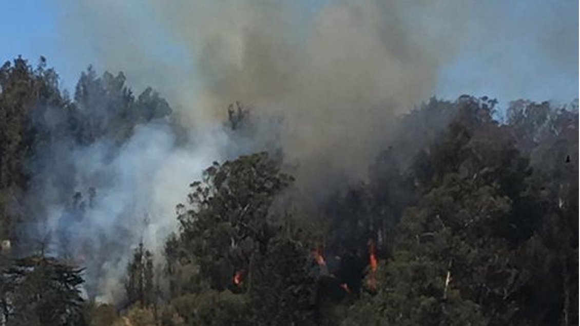 Avión de Conaf detuvo incendio cercano al Estadio Sausalito