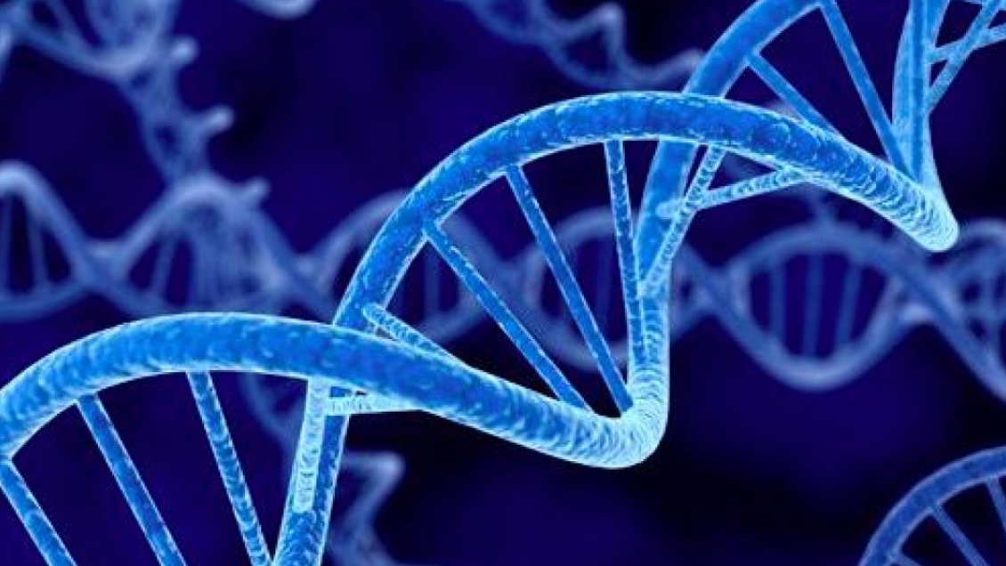 Innovadora técnica de edición genética podría evitar miles de enfermedades