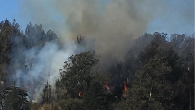 Avión de Conaf detuvo incendio cercano al Estadio Sausalito