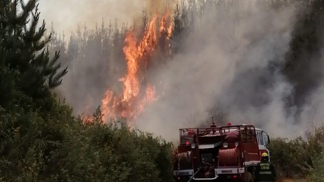 Valparaíso: Incendio forestal en Curauma consume 15 hectáreas