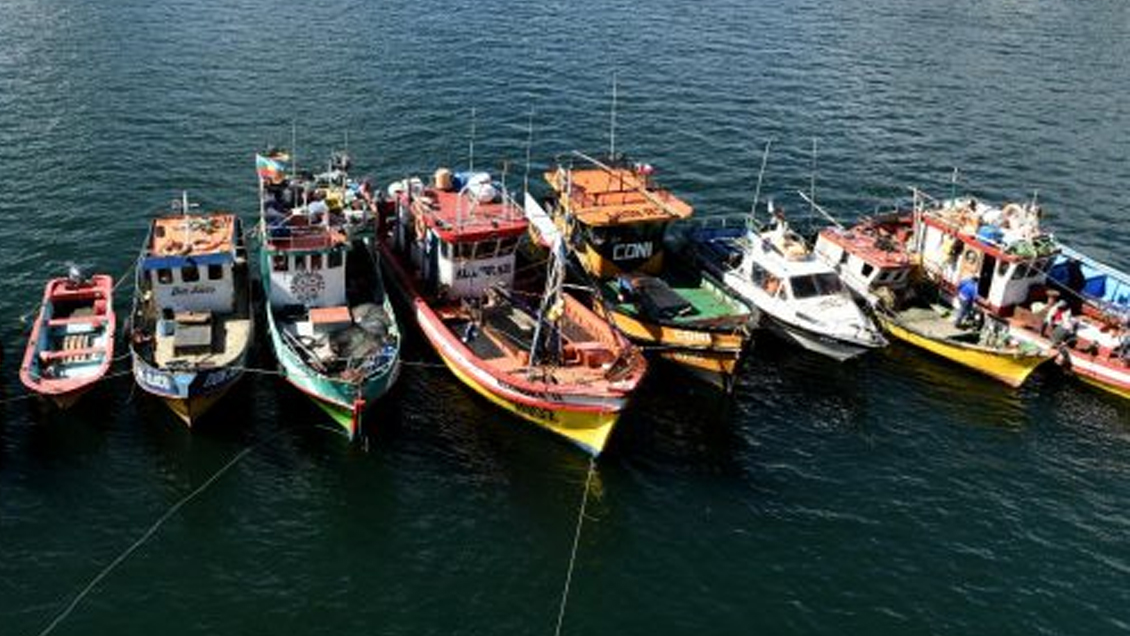 Ministro de Economía se reunirá con pescadores del Maule para discutir sus demandas