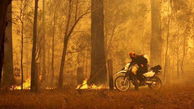 Más De Mil Personas Han Sido Evacuadas Por Incendios Forestales En