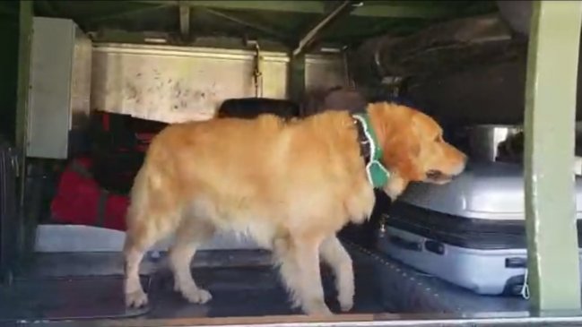 OS7 incauta 15 mil dosis de cocaína en control a un bus en Copiapó