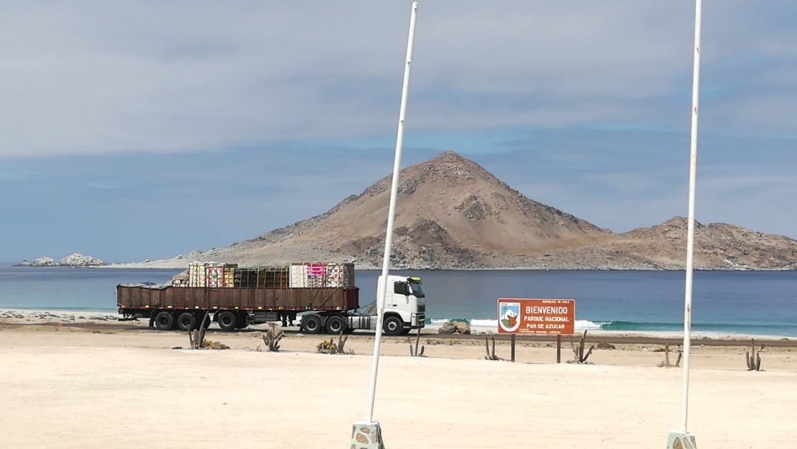 Ingreso de vehículos pesados al Parque Pan de Azúcar por bloqueos de rutas preocupa a Conaf