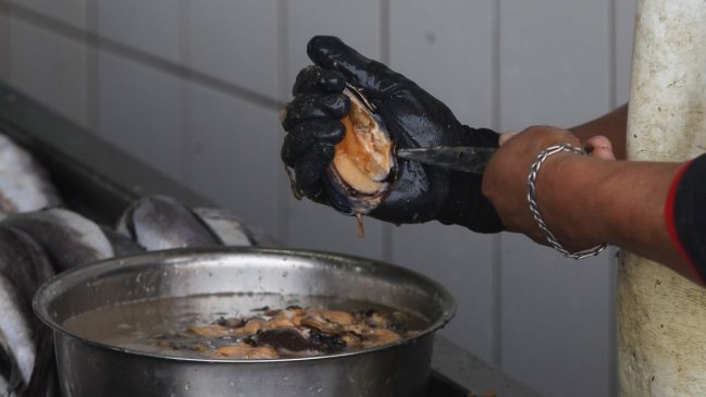 Por presencia de marea roja cierran isla Crossover de Magallanes para extracción de cholgas