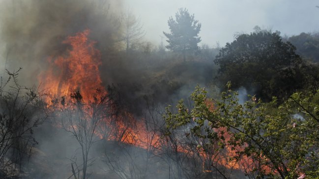 Declaran alerta roja para Valparaíso por incendios forestales a un costado de la Ruta 68
