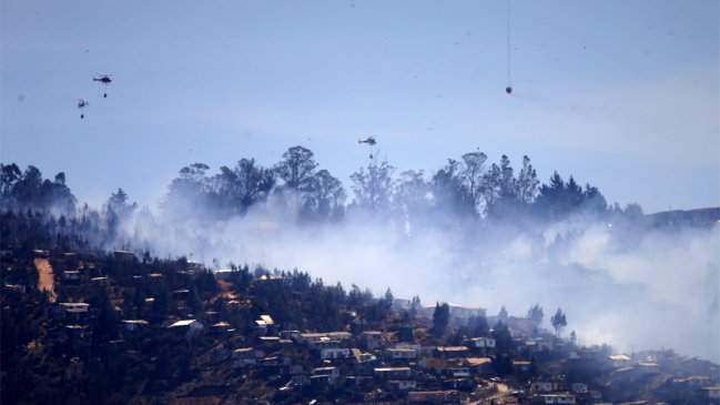 Incendios han consumido 3.100 hectáreas en Valparaíso