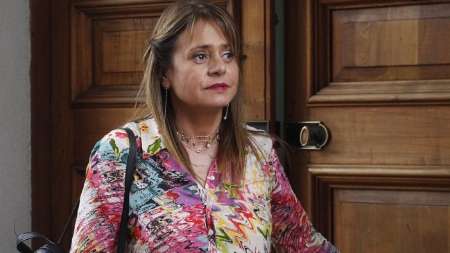 Van Rysselberghe se molestó con La Moneda por ministros que apoyan una nueva Constitución