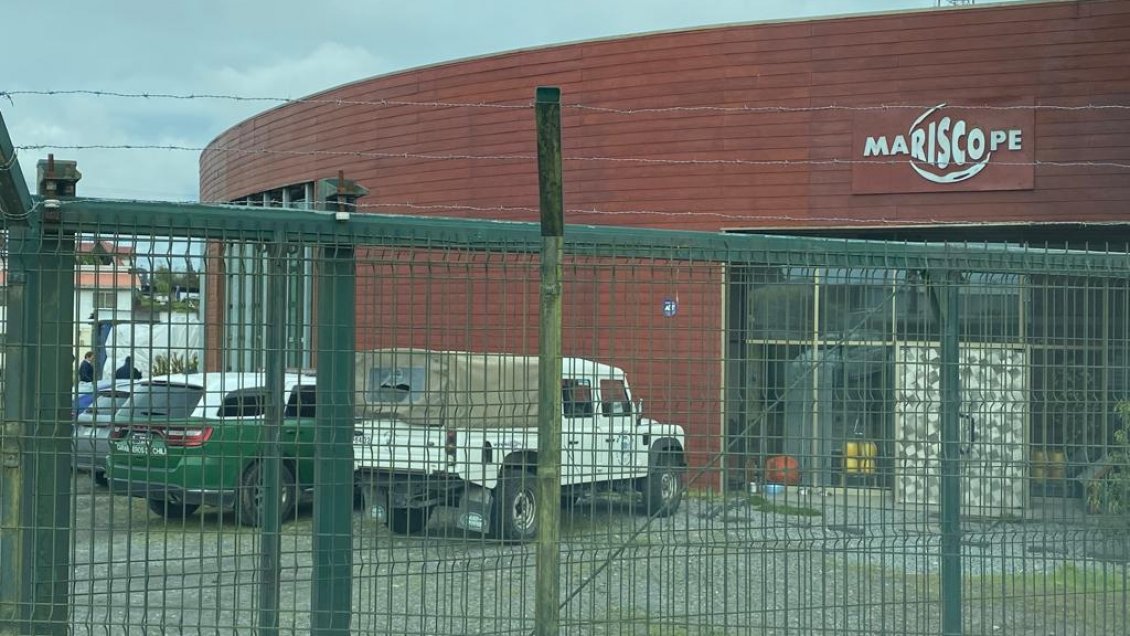 Puerto Montt: Millonario robo afectó a empresa que se dedica a la robótica submarina