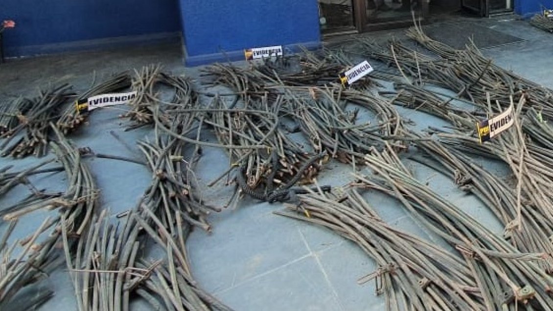 Dos hermanos son los primeros imputados en Ñuble por robo de cables de línea férrea