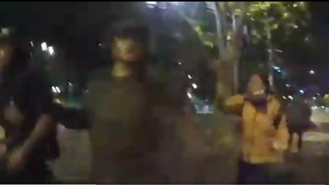 INDH se querellará contra mujer que se hizo pasar por funcionaria de la institución en manifestación