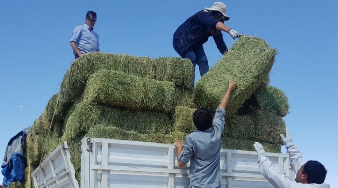 Gobierno anuncia entrega de nuevos recursos para agricultores de O'Higgins