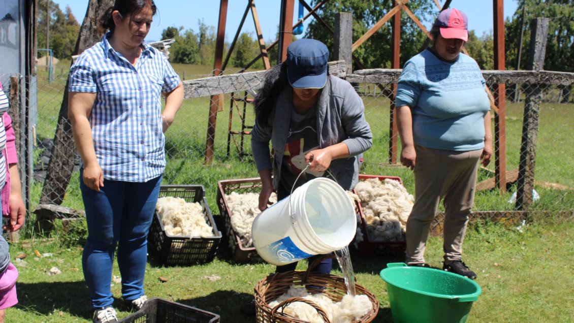 Mujeres huilliche se organizan para rescatar prácticas ancestrales y potenciar sus emprendimientos