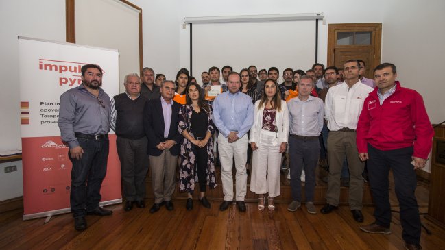 Inician entrega de apoyo financiero para micro y pequeñas empresas de Tarapacá