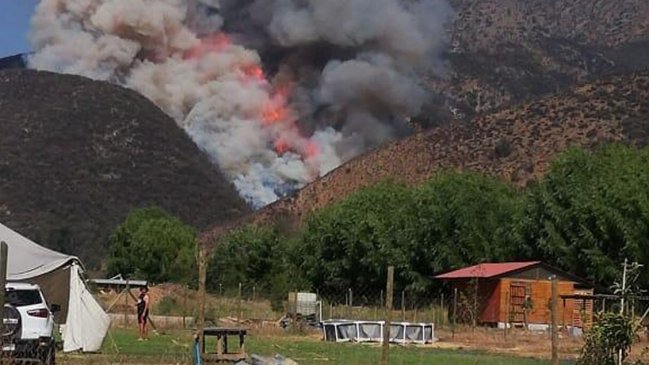 Gigantesco incendio forestal afecta a la comuna de Pirque