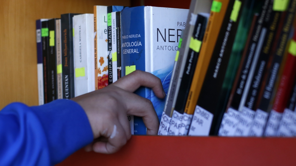 OCDE: Uno de cada cuatro alumnos falla en las pruebas más básicas de lectura