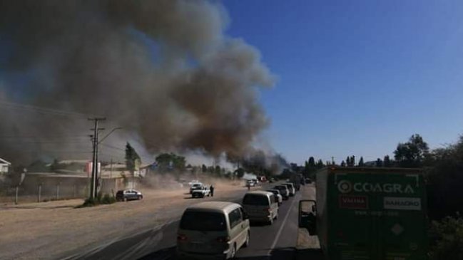 Intendencia declara alerta roja para Las Cabras por incendio forestal en El Manzano