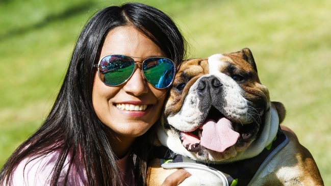 Estudio confirma que los perros entienden a los humanos más de lo que se creía