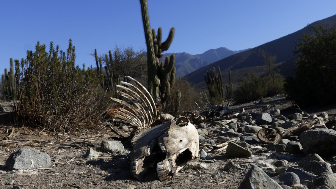 COP25: Chile empeoró en ranking de países afectados por crisis climática