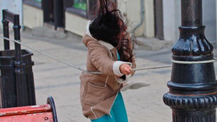 Onemi declaró alerta temprana preventiva por fuertes vientos en Magallanes