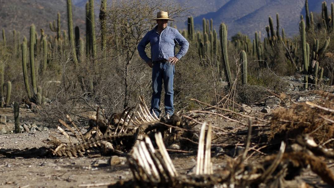 Ministro Walker: La demanda de alimentos subirá para 2050, pero habrá menos tierra y agua