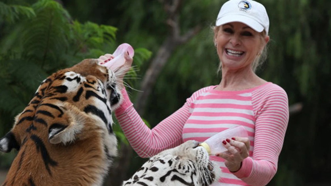 Mujer fue atacada por tigres a los que crió desde cachorros