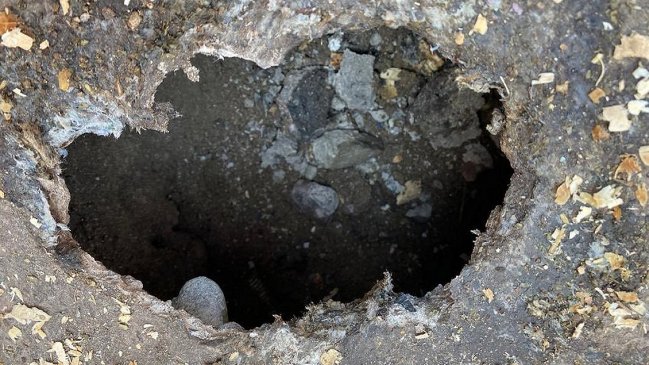 Gendarmes de Quillota descubrieron túnel en construcción y frustraron escape de reos