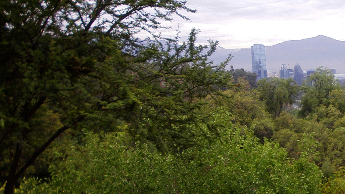 Pacto Verde Europeo, el plan que busca la neutralidad climática del continente al 2050