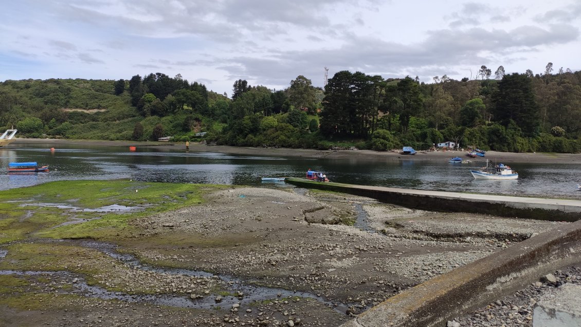 Boteros de Angelmó denuncian que un musgo resbaladizo atenta contra su actividad