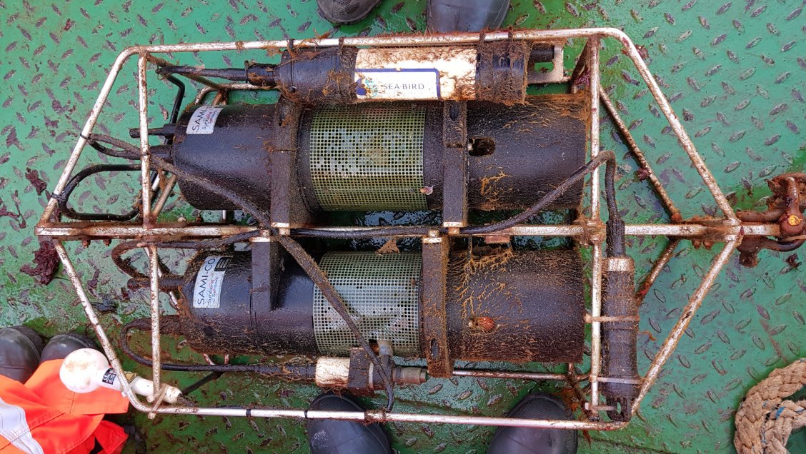 Roban sensor con químicos cancerígenos en Osorno