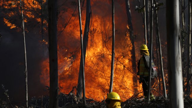 Declaran alerta roja para Valparaíso y Viña del Mar por incendio forestal en localidad de Placilla