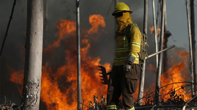 Incendio forestal en Placilla: Habilitan tránsito en la Ruta Las Palmas