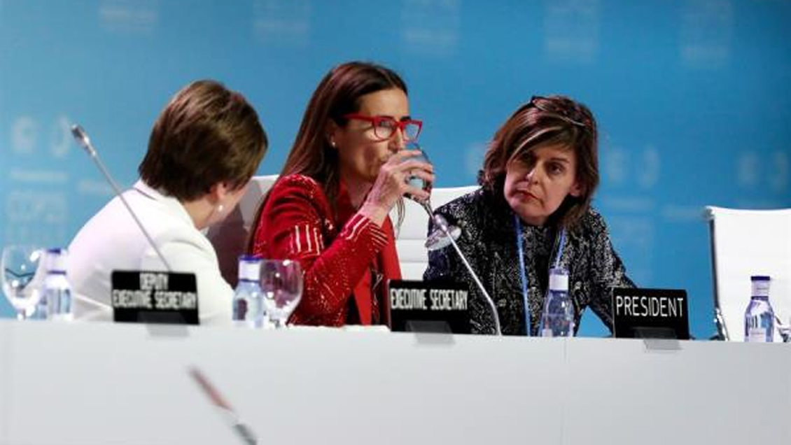 Diputado reunirá firmas para interpelar a ministra Schmidt por su papel en la presidencia de la COP25