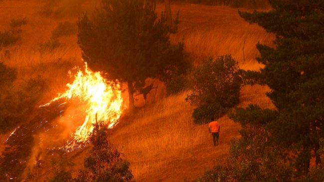 CGE pagará millonarias indemnizaciones a víctimas de incendios forestales 2016-2017