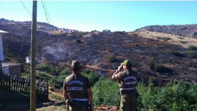 Carabineros indaga origen de incendio forestal en Paredones