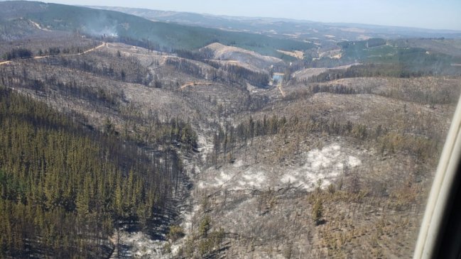 Carabineros detuvo a sospechoso de iniciar incendio forestal en Peralillo