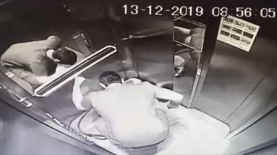 Maltrato animal: Revelan brutal agresión a perrita en condominio de Macul