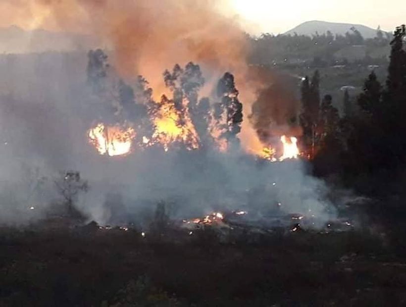 Declaran alerta roja por incendio forestal en Vallenar