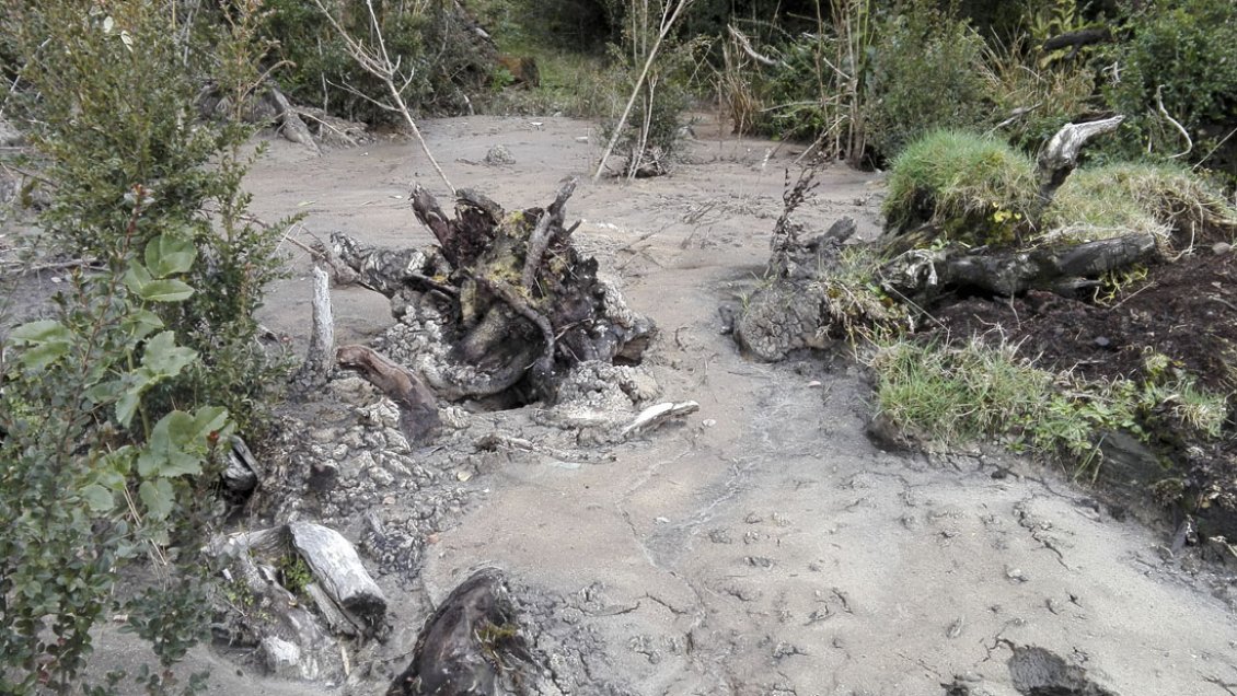 SMA sancionará a Essal por deficiencias en planta de tratamiento de aguas servidas en Ancud